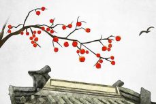湖南特色戏曲文化 中国文化遗产日是哪天